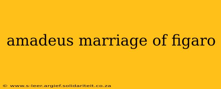 amadeus marriage of figaro