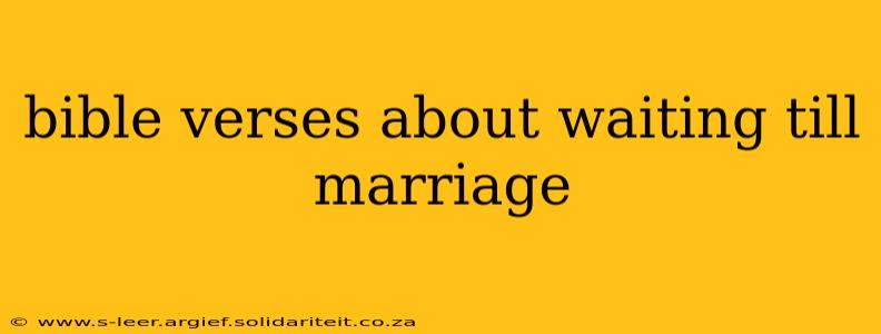 bible verses about waiting till marriage