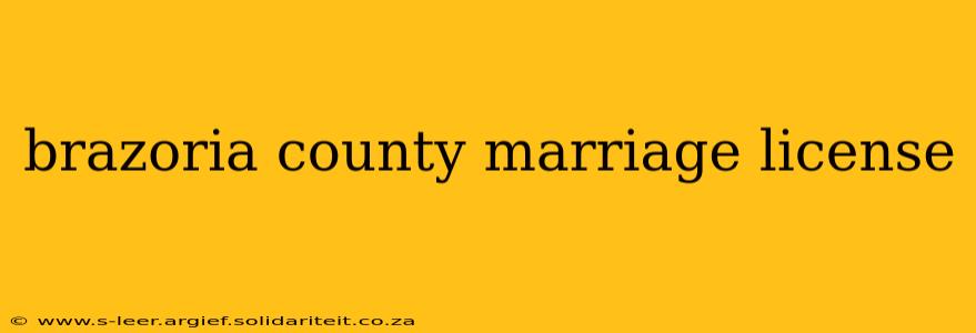 brazoria county marriage license