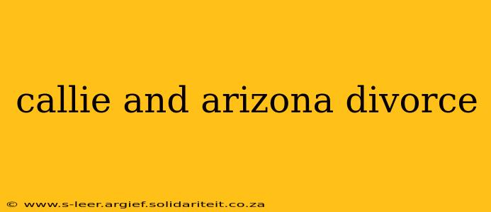 callie and arizona divorce