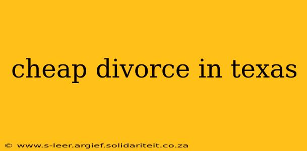cheap divorce in texas