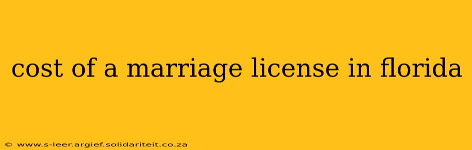 cost of a marriage license in florida