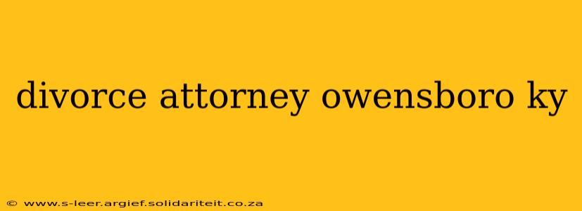 divorce attorney owensboro ky