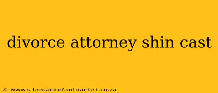 divorce attorney shin cast