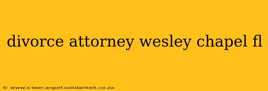 divorce attorney wesley chapel fl