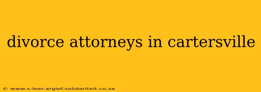 divorce attorneys in cartersville