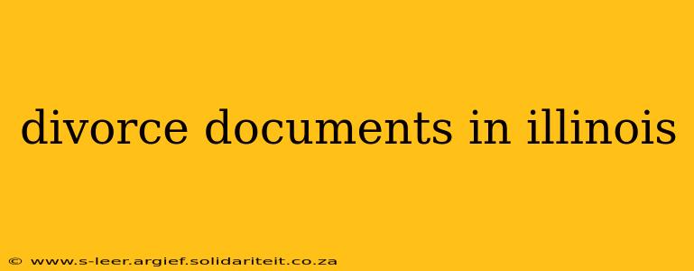 divorce documents in illinois