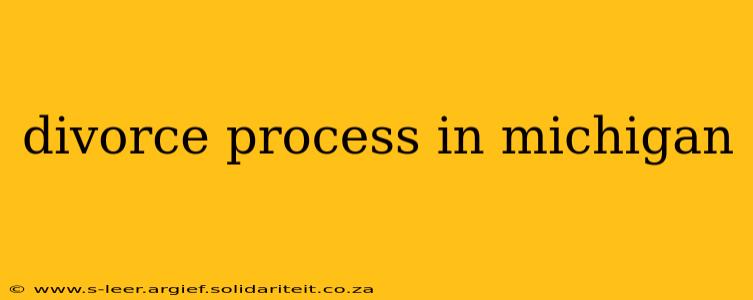 divorce process in michigan