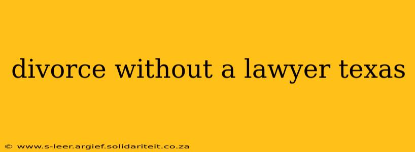 divorce without a lawyer texas