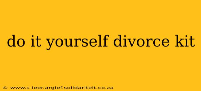 do it yourself divorce kit