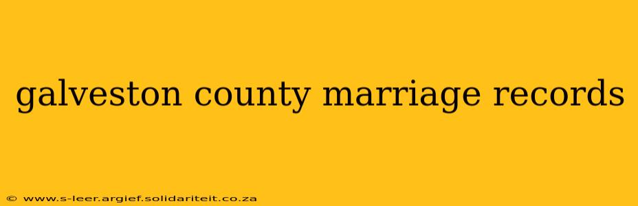 galveston county marriage records