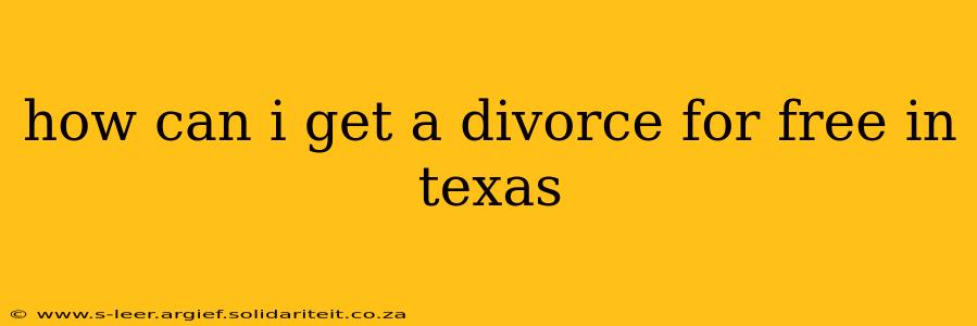 how can i get a divorce for free in texas
