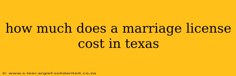 how much does a marriage license cost in texas