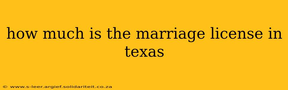 how much is the marriage license in texas