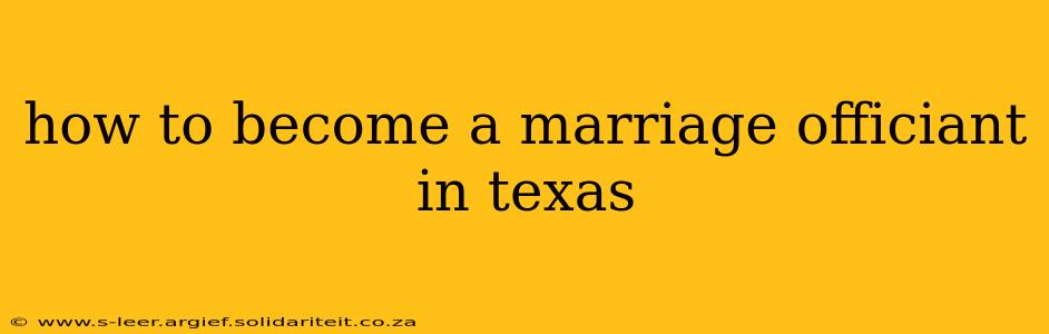 how to become a marriage officiant in texas
