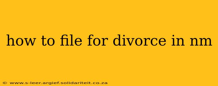 how to file for divorce in nm