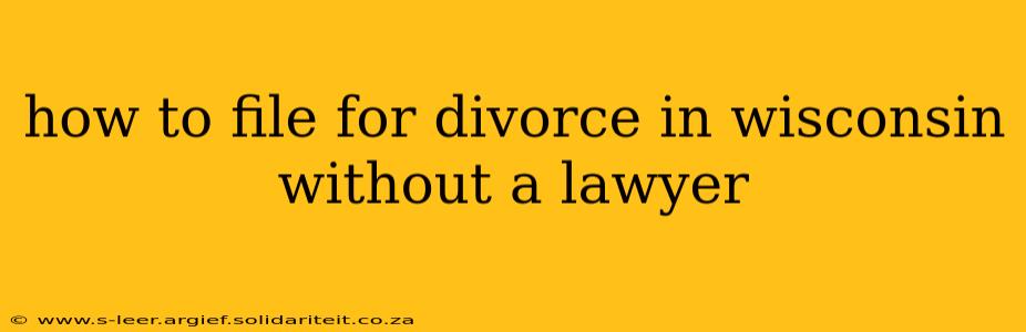 how to file for divorce in wisconsin without a lawyer