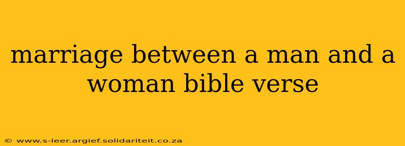 marriage between a man and a woman bible verse