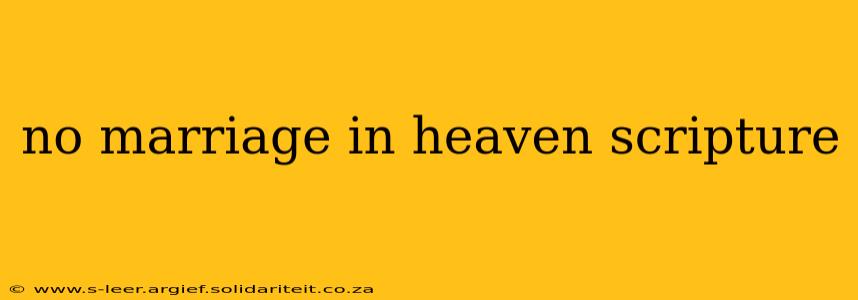 no marriage in heaven scripture