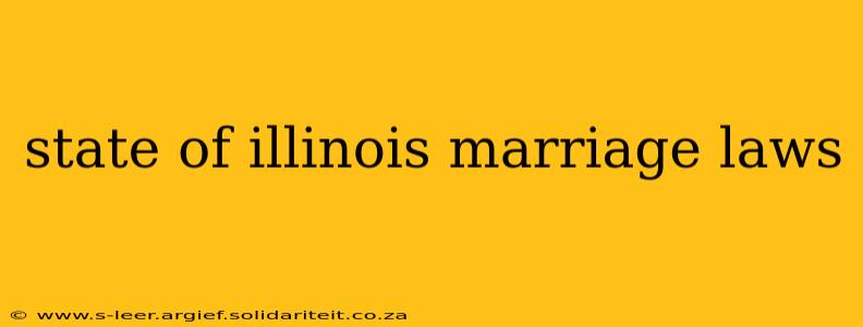 state of illinois marriage laws