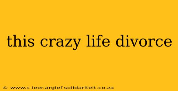 this crazy life divorce