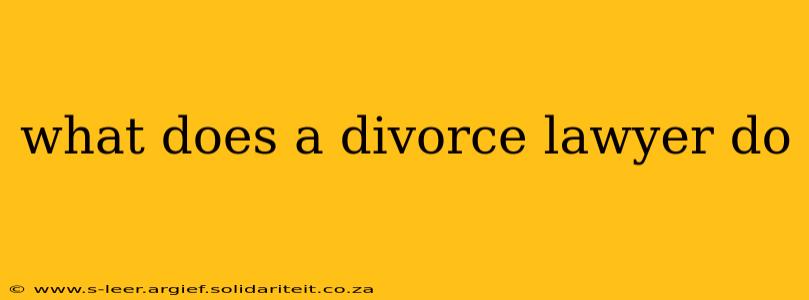 what does a divorce lawyer do