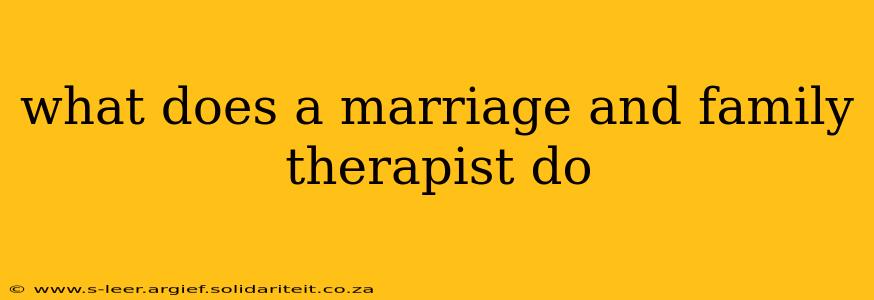 what does a marriage and family therapist do