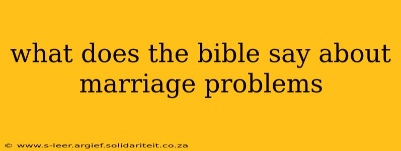 what does the bible say about marriage problems