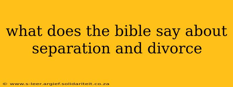 what does the bible say about separation and divorce