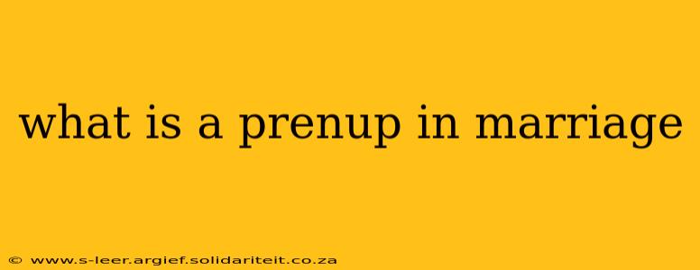 what is a prenup in marriage