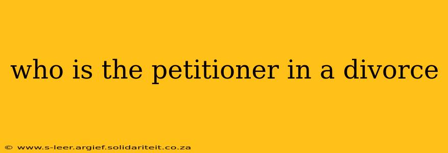 who is the petitioner in a divorce