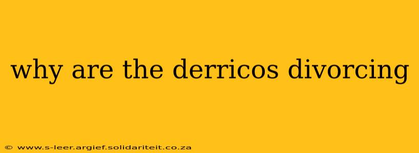 why are the derricos divorcing