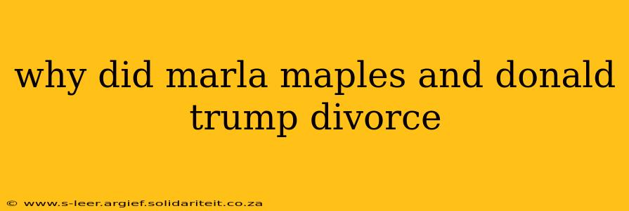 why did marla maples and donald trump divorce