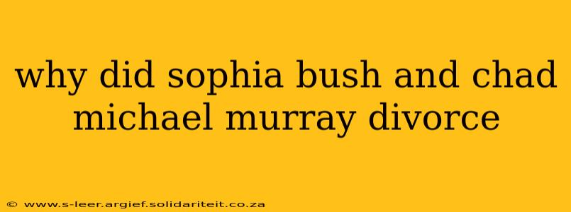 why did sophia bush and chad michael murray divorce